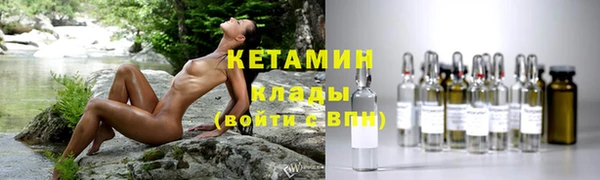 твердый Новозыбков